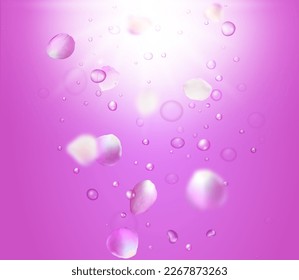 Pink shining backgroung with falling rose petals. Sakura flower parts and rose water drops.