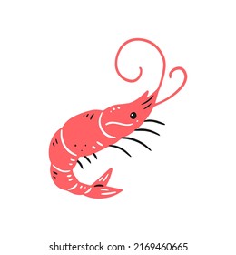 Pink shrimp in doodle style. Vector isolated animal illustration.