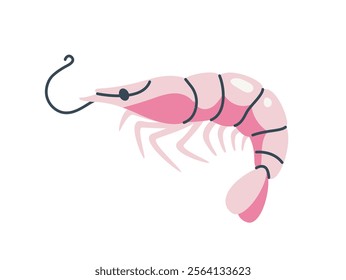 Pink shrimp with segmented body, thin legs, and curved antennae, isolated on a white background, ideal for seafood, marine, and culinary designs. Flat cartoon vector illustration