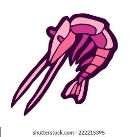 pink shrimp - stylized vector illustration