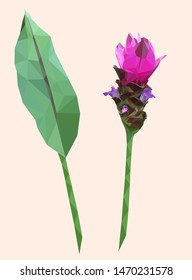 Pink siam tulip or curcuma flower with green leaves low polygonal design