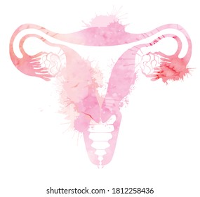 Pink silhouette anatomical uterus with watercolor splashes. Healthy female body. Woman power. Uterus with tube and ovaries. Vector illustration for articles, banners, icon, logo and your design.