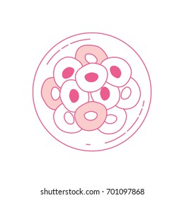 pink silhouette of front view division of the ovule in several cells vector illustration