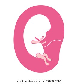 pink silhouette of side view fetus human growth in placenta vector illustration