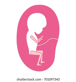 pink silhouette of side view fetus human growth in placenta trimestrer vector illustration