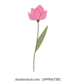 Pink single rose. Flat vector illustration isolated on white background.