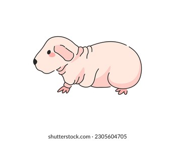 Pink Skinny Guinea Pig Cartoon Vector Illustration. Isolated icon on white background.