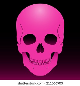 pink skull on dark background/ vector illustration