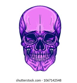 The pink skull. Sugar head. Skull.