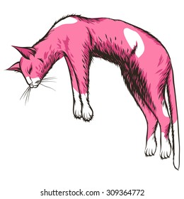 Pink sleeping cat. Cute little kitty.
 