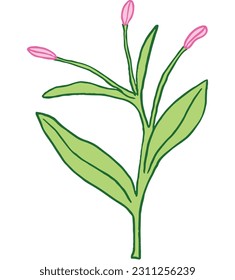 Pink small buds with leaves