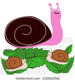 Pink Snail, Orange Back, Leaf And Green Background. Slow Motion Cartoon Animal Vector