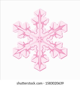 Pink Snowflake Vector Illustration on White Background - Christmas and Winter Element