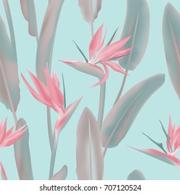 Pink South African tropical flower seamless vector pattern on blue. Jungle plant Strelitzia Reginae known as crane flower, bird of paradise. Background illustration textile print of leaves and blossom