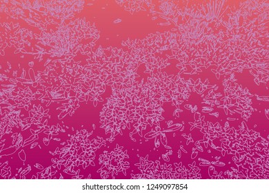 pink spike flower background vector