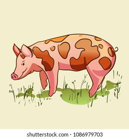 A pink spotted pig in the grass. Colored Vector illustration. 