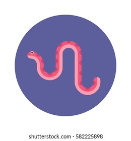 A pink spotted snake. Isolated design element in flat style. Vector illustration of a reptile for pet shop. May be used as a web icon.