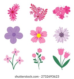 Pink spring flower collection. Vector purple and rose floral elements for Women's Day nature decoration isolated on white