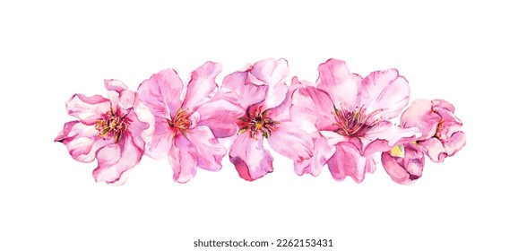 Diseño de flores primaverales rosas. Cerezo, flor de sakura, ramo de manzana floral. Vector de acuarela romántico