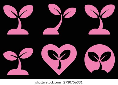 Pink sprouts growing in different shapes seedling plant