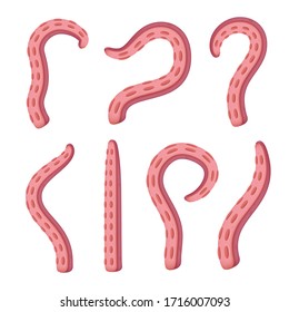 Pink squid or red octopus tentacles set in different poses. Vector illustration of cartoon feeler of the underwater animal isolated on white background