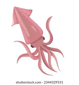Pink squid tasty sea food is isolated on a white background as fresh seafood.