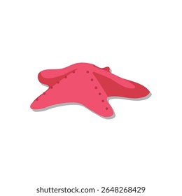 Pink starfish marine animal ocean creature