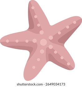 Pink starfish on white background