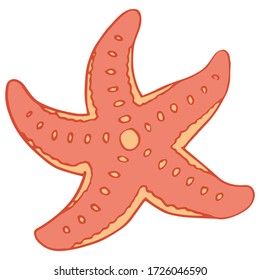 Pink starfish on white isolated backdrop. Coral reef animal for invitation or gift card, pet shop logo, diving club, bath tile. Phone case or cloth print art. Doodle style stock vector illustration