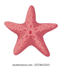 pink starfish sea life design isolated