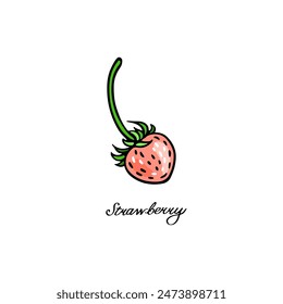 Pink Strawberry. Color berries set. Hand-drawn flat image. Vector illustration on a white background.