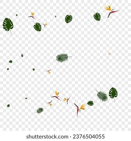 Vector transparente de fondo de Strelitzia rosa. Marco De Moda De Flor. Planta verde claro. Tarjeta Vivid. Diseño Botánico Naranja.