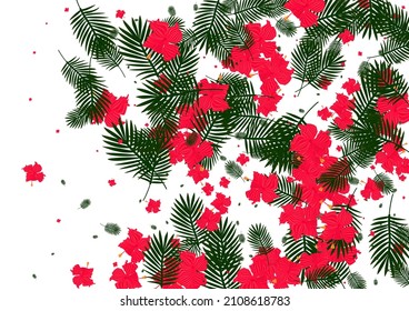 Pink Strelitzia Background White Vector. Tree Ornament Illustration. Orange Plant. Island Frame. Red Botanical Pattern.