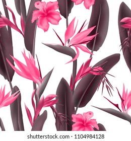 Pink Strelitzia Reginae blossom known as crane flower or bird of paradise, hawaiian hibiscus and bromelia seamless vector pattern. South Africa flowering plant and strelitzia fabric print, textile.