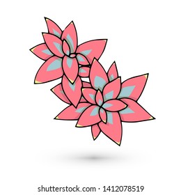 pink succulent eheveria. doodle art vector isolated on white background