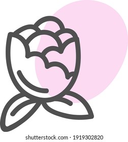 Flor rosa de verano, ilustración, vector sobre fondo blanco.