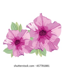 Pink Summer flowers isolated on white. Watercolor flowers illustration. Vintage Elegant Card illustration for Women's day, birthday, Wedding, Ceremony, Anniversary