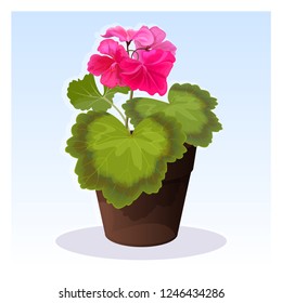 Pink summer geranium vector illustration