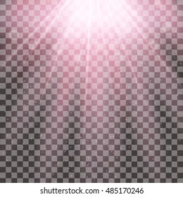 Pink sun rays on transparent background. Light effect. Vector illustration.