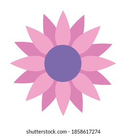 pink sunflower icon on white background vector illustration design