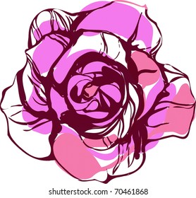 pink tea rose