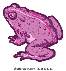 pink toad with body warts