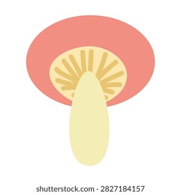 Pink toadstool. Hand drawn vector flat. Death cap. Dangerous ingredient in witch potions. Poisonous fairy mushroom. Halloween holiday. Inedible. Botany. Color illustration.