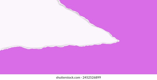 Pink torn paper strips with soft shadow are on white background Vector illustration.