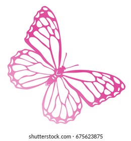 Pink transparent butterfly abstract vector drawing illustration, monarch