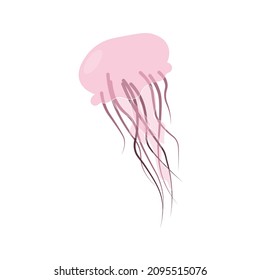 Pink transparent jellyfish on white background. Suitable for print and design of fabric, paper. Vector graphics 