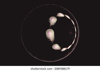 Esfera transparente rosa con puntos sobre un fondo negro. Resumen de imagen vectorial.