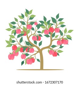 Pink tree and apple on a white background. Illustration vector