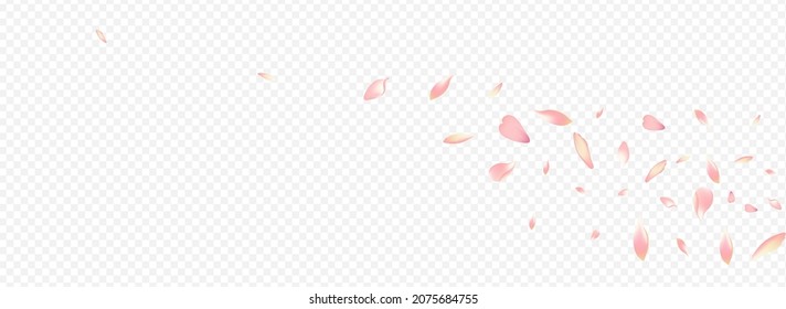 Pink Tree Vector Panoramic Transparent Background. Rosa Fresh Texture. Sakura Beauty Poster. Petal Overlay Cover. Red Floral Dream Design.