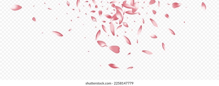 Pink Tree Vector Panoramic Transparent Background. Rose Japan Banner. Floral Garden Backdrop. Bloom Free Cover. Color Cherry Realistic Template.